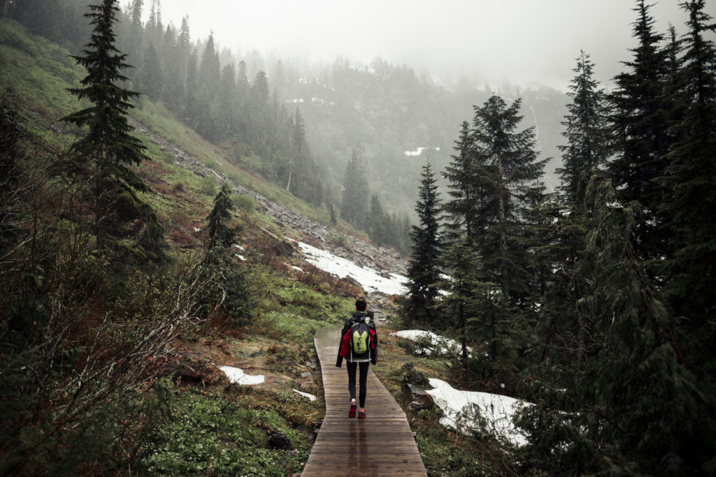 5 Reasons Why You Need to Try Walking This Summer